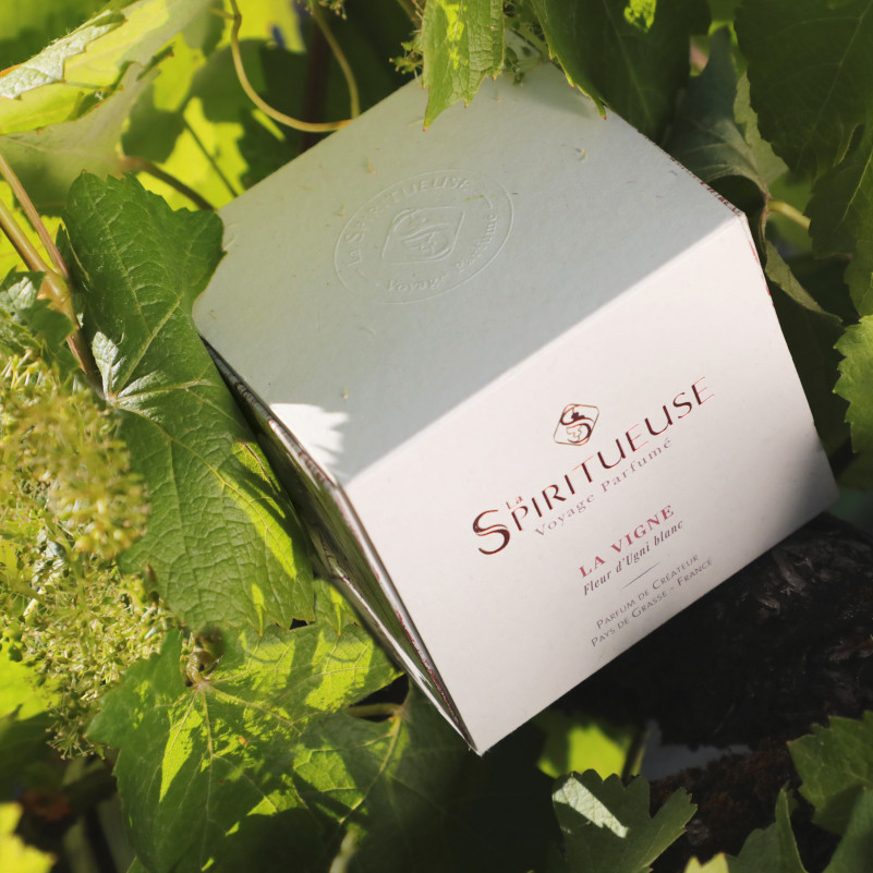 Bougie 190g / 50h - La Vigne