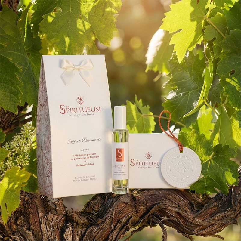 Coffret Découverte La Vigne, Edition Limitée