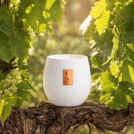 Bougie parfumée - 190g / 50h - La Vigne