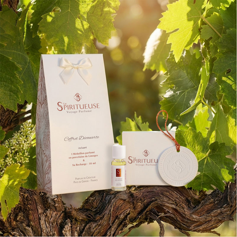 Coffret Découverte La Vigne, Edition Limitée