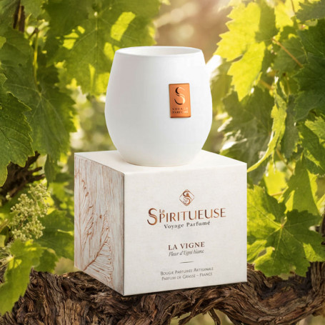 Bougie 190g / 50h - La Vigne
